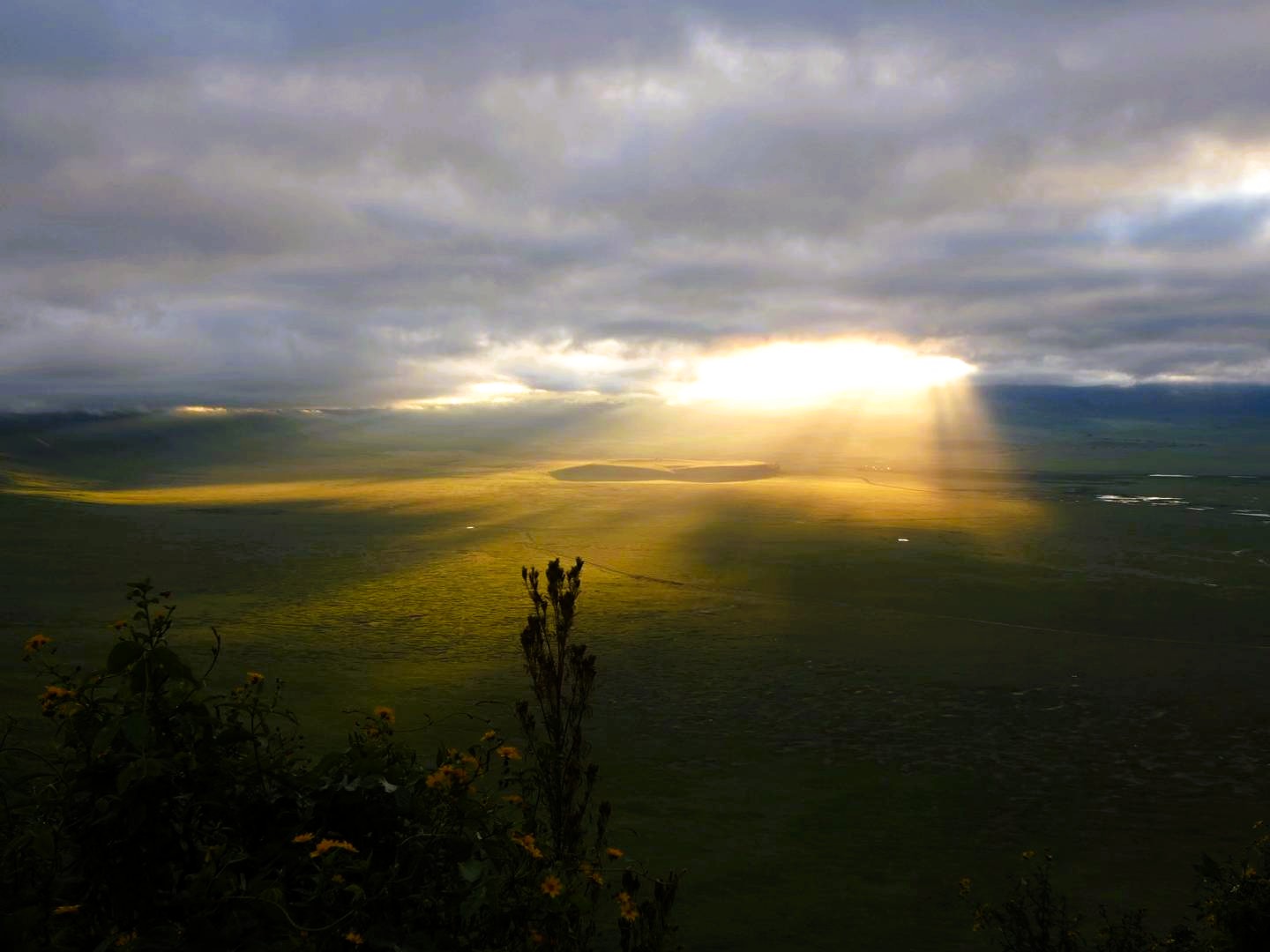 Tarangire and Ngorongoro safari tour vehicle with wildebeest