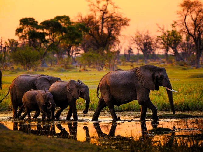 4 days tanzania safari package