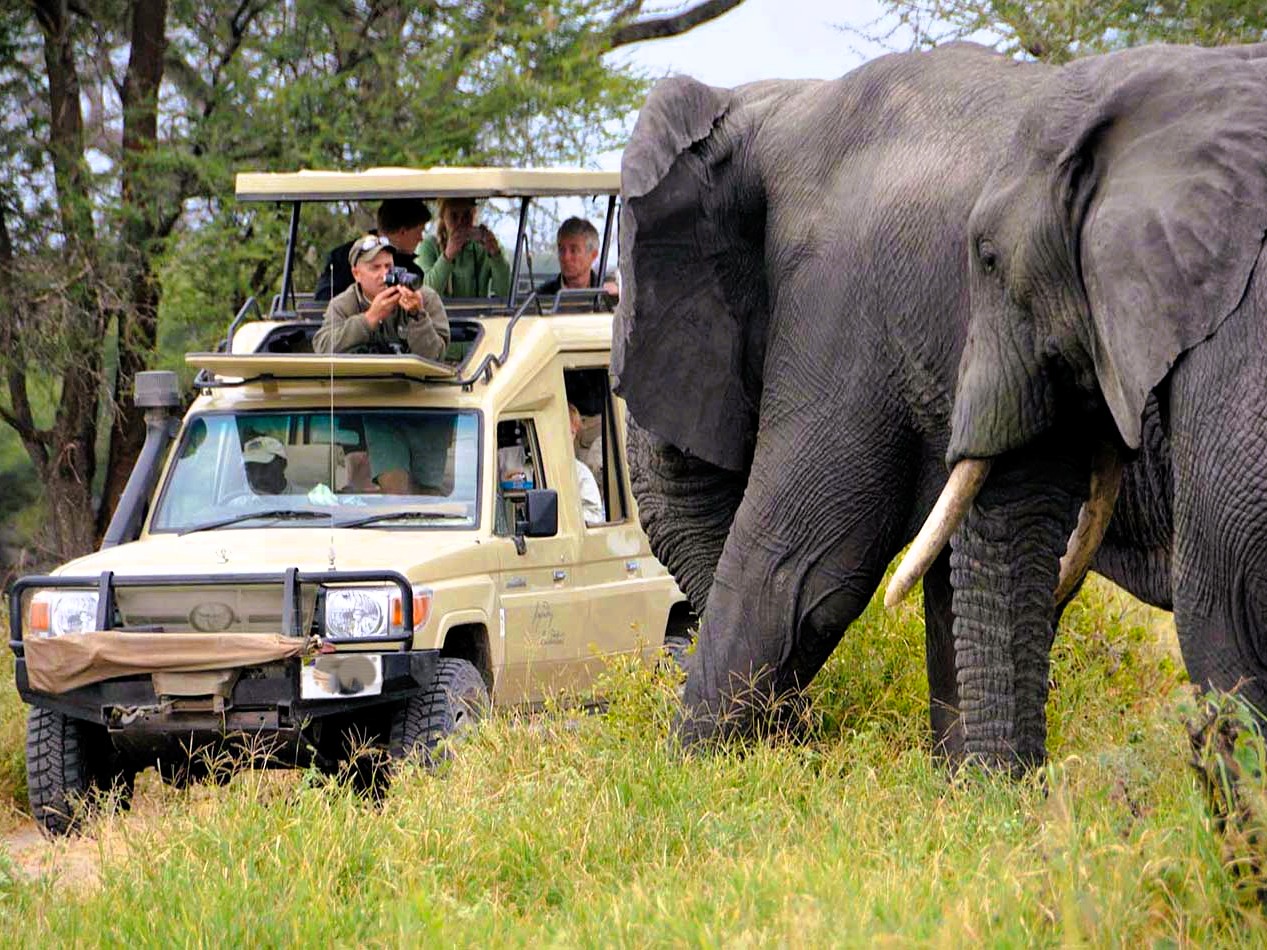 7 days tanzania safari package
