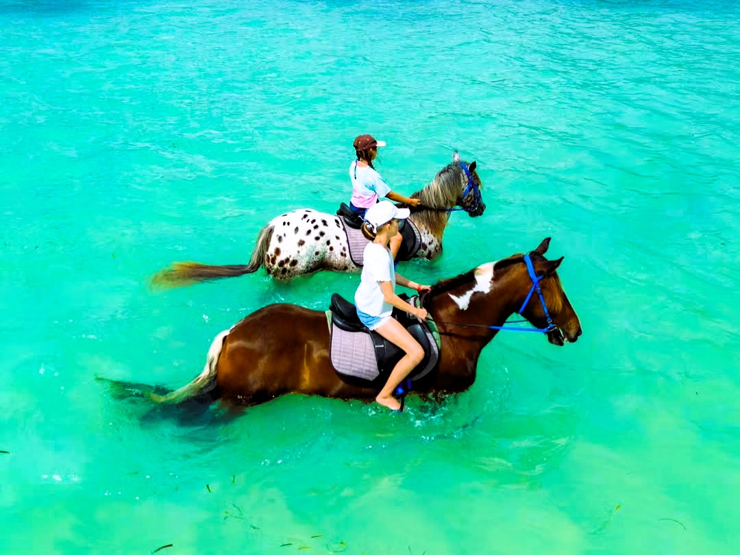 Horse riding tour activity