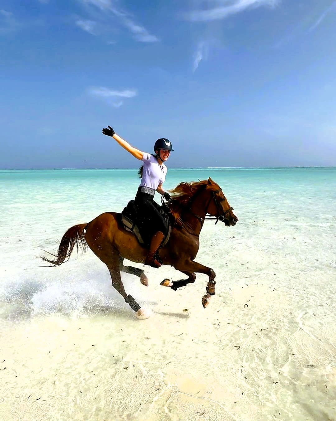 Horse riding tour activity