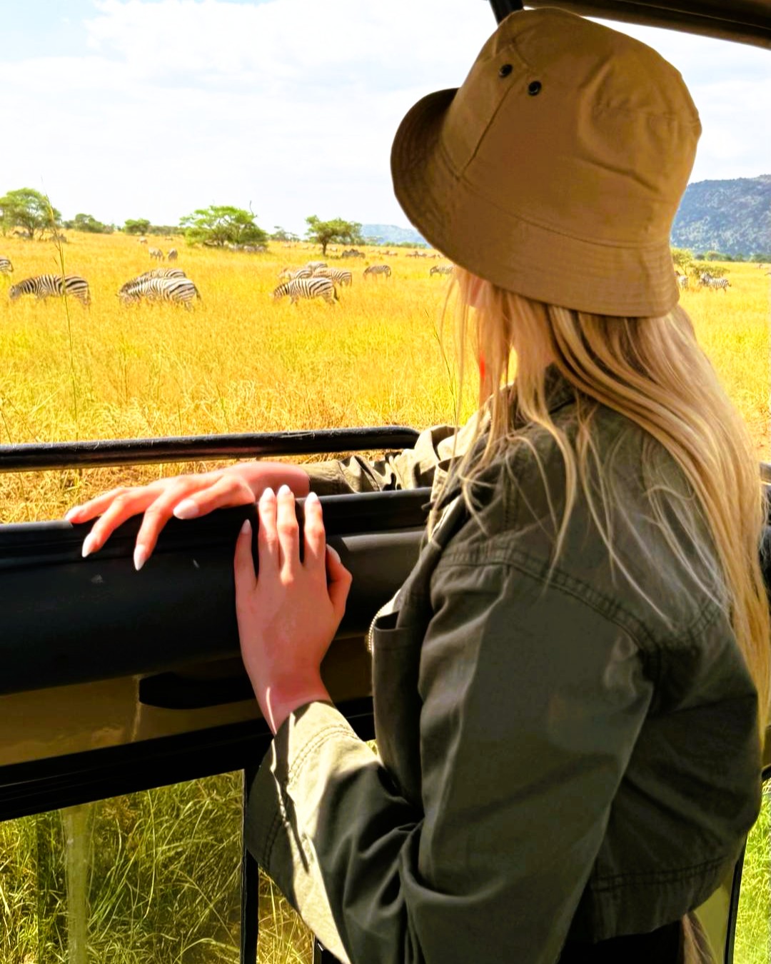 Wildlife in Ngorongoro Crater including zebras and wildebeest herd