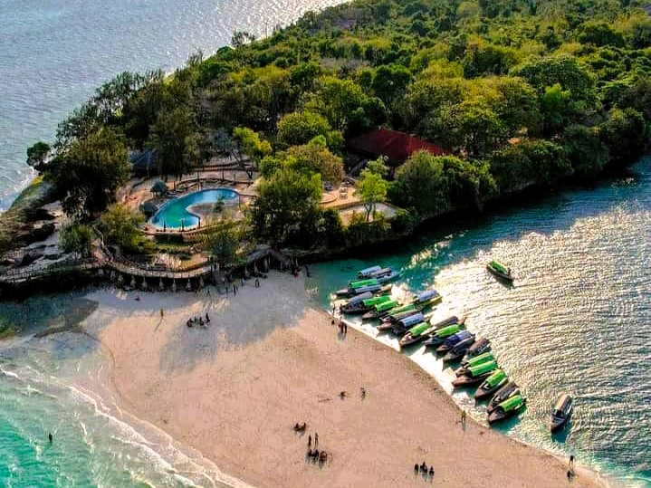 Jozani Forest, Spice Farm and Prison Island full day tour image