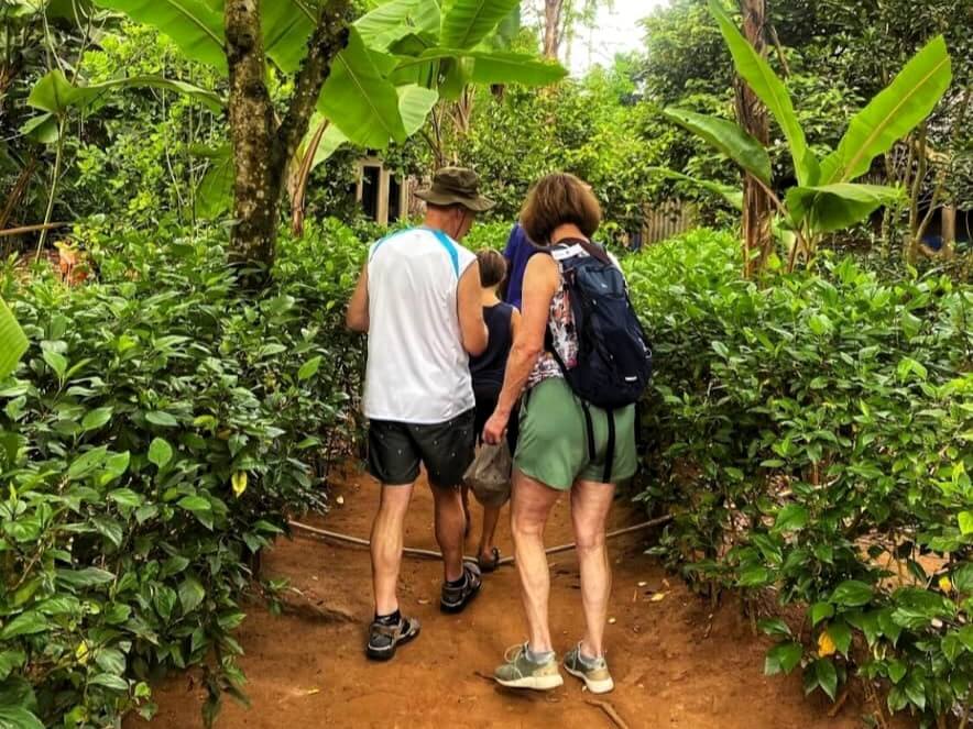 Spice Farm, Prison Island and Stone Town full day tour image