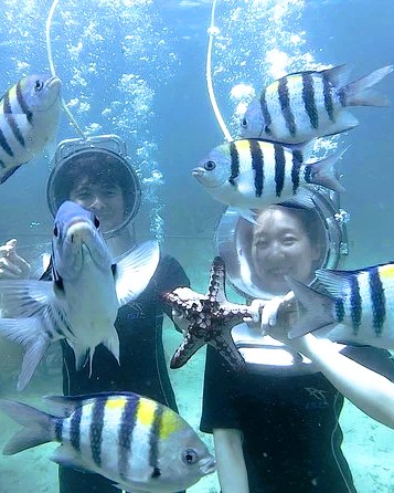Zanzibar sea walk tour underwater experience